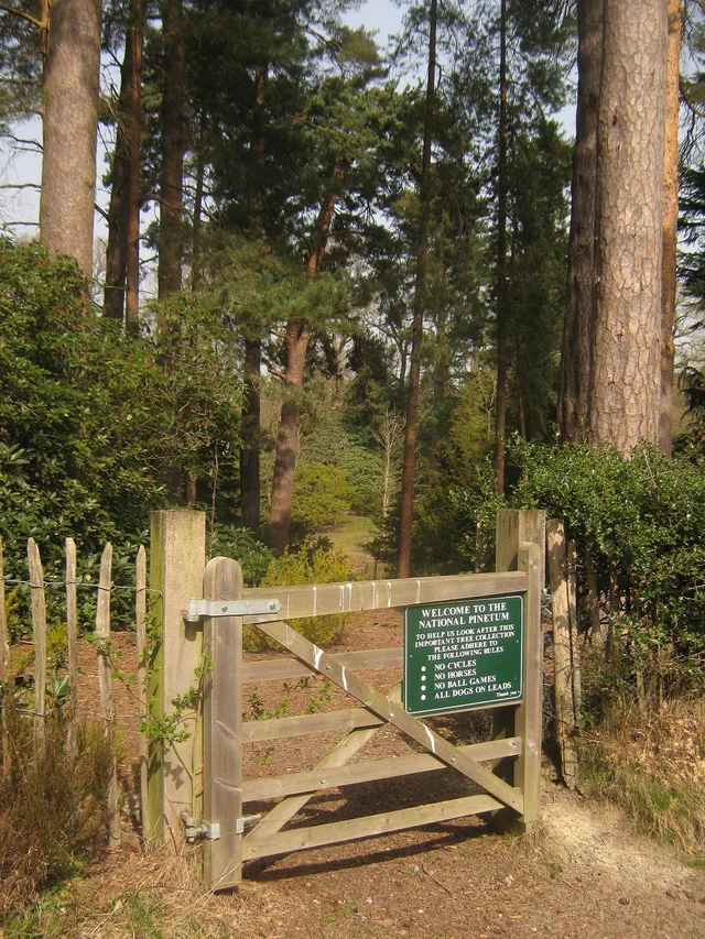 Family Days Out near Tenterden