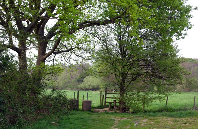 Walks & Countryside around Tenterden