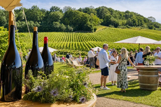 Chapel Down launches its first-ever Magnum Festival at Tenterden winery estate