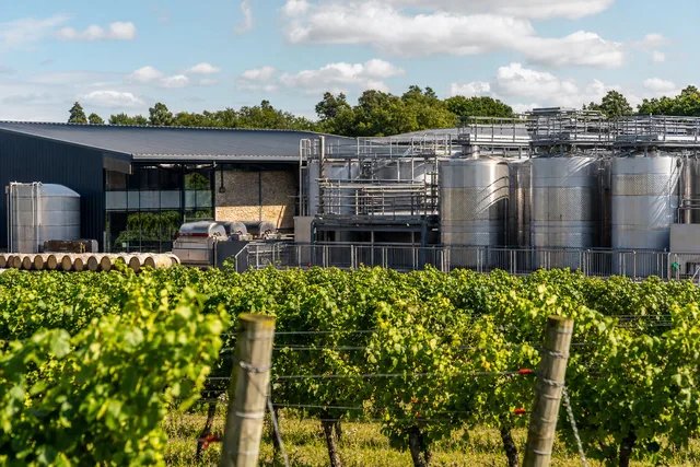 Has Chapel Down (LSE:CDGP) Sharpened Its Growth Case With Fresh Net Sales Guidance?