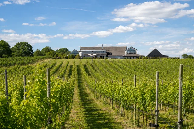 Tenterden's Chapel Down reports 19% rise in sales as US expansion drives growth