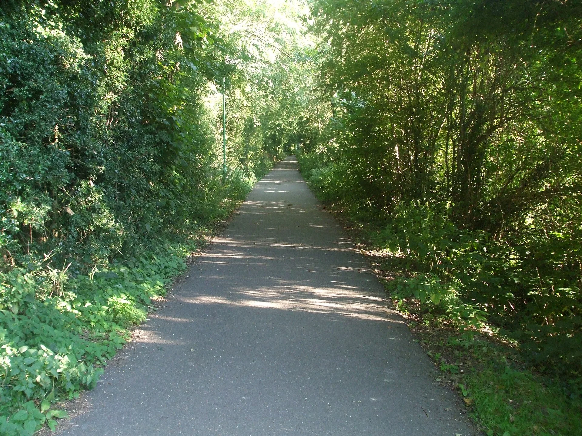 Tenterden's designated cycle route to get all weather resurfacing
