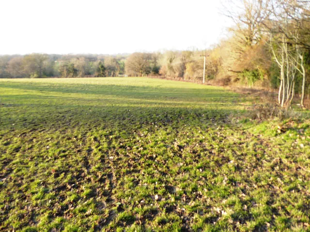 Tenterden Wildlife awarded £8,200 for local nature recovery work