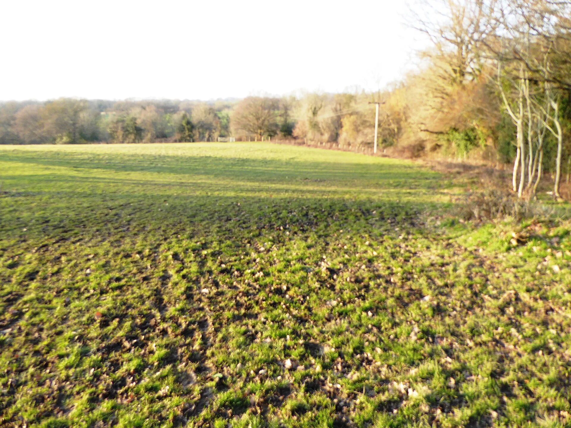 Tenterden Wildlife awarded £8,200 for local nature recovery work